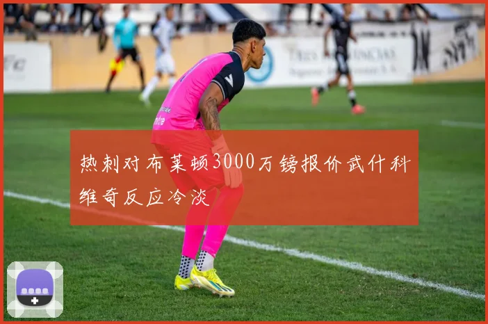热刺对布莱顿3000万镑报价武什科维奇反应冷淡