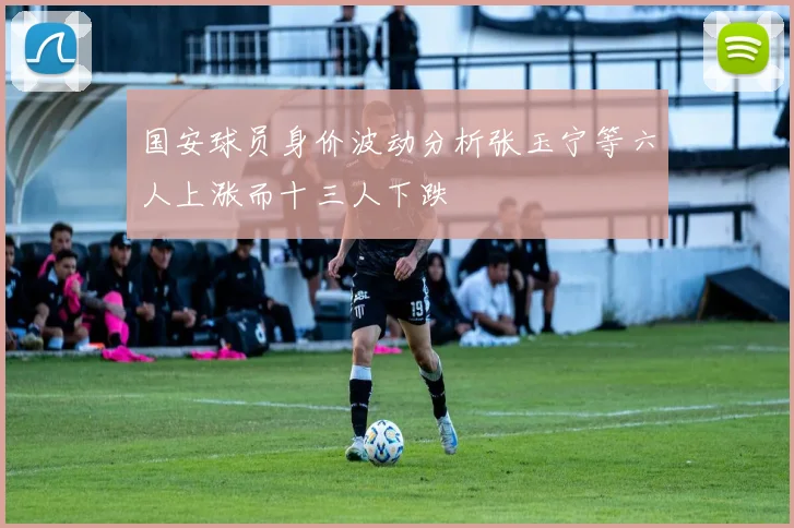国安球员身价波动分析张玉宁等六人上涨而十三人下跌