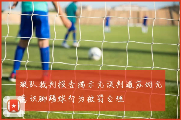 狼队裁判报告揭示无误判道苏姆无意识脚踢球行为被罚合理